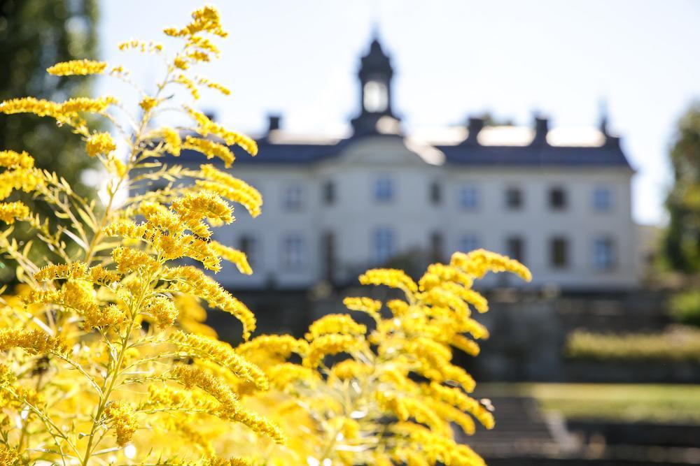 Kaggeholms Slott Bed & Breakfast Ekerö Eksteriør bilde